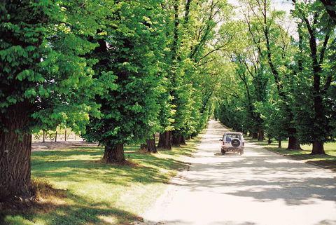 All Saints Estate - Sunshine Coast Tourism 1