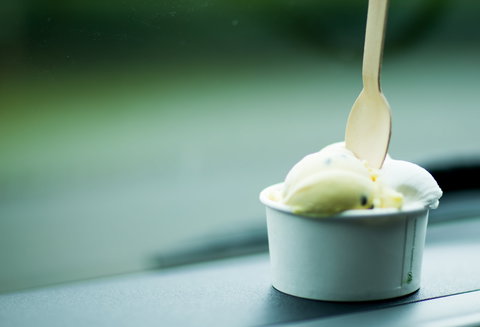 Daintree Ice Cream Company - Sunshine Coast Tourism 0
