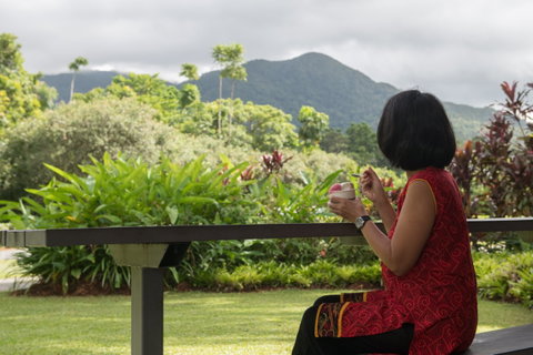 Daintree Ice Cream Company - Sunshine Coast Tourism 1