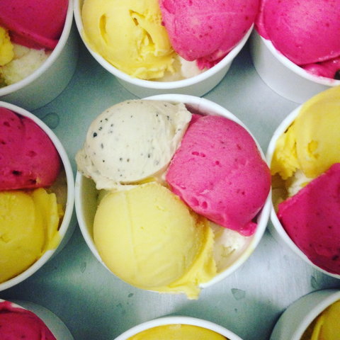 Daintree Ice Cream Company - Sunshine Coast Tourism 2
