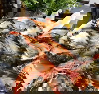 Fish Depot  - Jindalee - Sunshine Coast Tourism