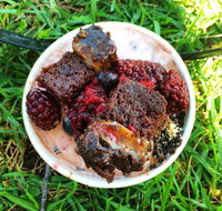 Fro-yo Frozen Yoghurt and Bubble Tea - Holiday Sunshine Coast