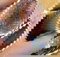 Gordon's Cafe - Sunshine Coast Tourism