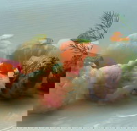 Komaru - Sunshine Coast Tourism