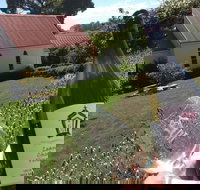 Leaning Church Vineyard - Sunshine Coast Tourism