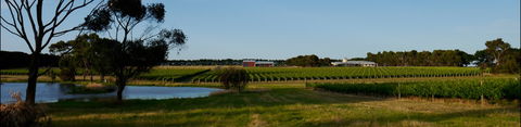 McGlashans Wallington Estate - Holiday Sunshine Coast 0