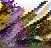 Mellow Thai Restaurant and Cafe - Sunshine Coast Tourism