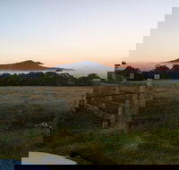 Mountainside Wines - Holiday Sunshine Coast