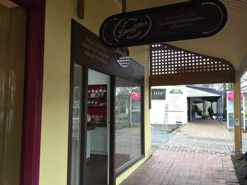 Oaktree Truffles - Holiday Sunshine Coast 0