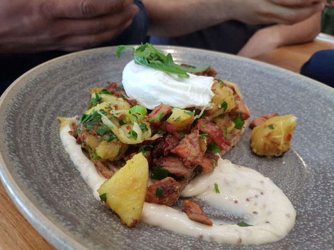 The Premises - Sunshine Coast Tourism 0