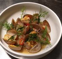 Anchovy - Holiday Sunshine Coast