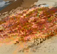 Frankie's Pizza - Sunshine Coast Tourism