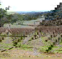 Habitat Vineyard - Holiday Sunshine Coast