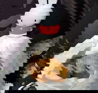 Lil' Orbit - Sunshine Coast Tourism