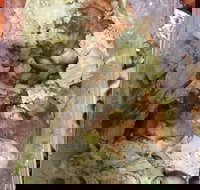 Tandoori Town - Sunshine Coast Tourism