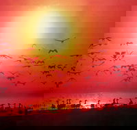 The Boatshed Coffee House - Sunshine Coast Tourism