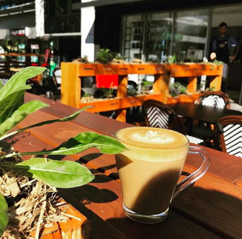Apothecafe - Sunshine Coast Tourism 0