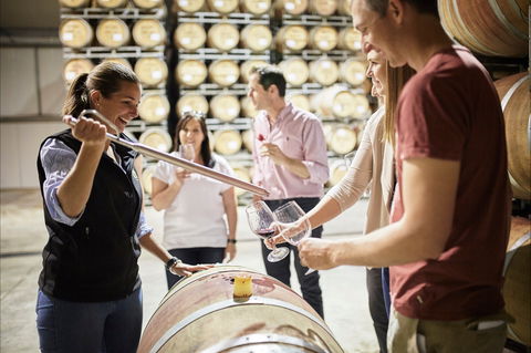 Brown Brothers Milawa Vineyard - Sunshine Coast Tourism 1