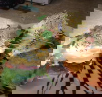 Cafe in the Mountains - Sunshine Coast Tourism