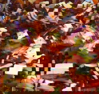 Flamin' Chix - Sunshine Coast Tourism