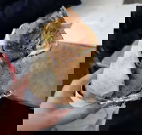 Grains Galore - Sunshine Coast Tourism