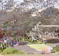 Green Olive at Red Hill - Sunshine Coast Tourism