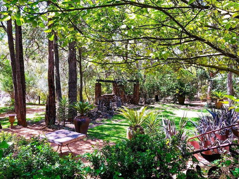 Naked Apple Cider - Sunshine Coast Tourism 0