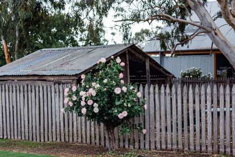 Penny's Hill Winery - Holiday Sunshine Coast 2