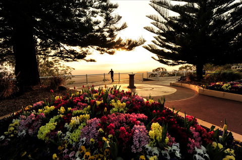 Picnic Point Cafe And Restaurant - Holiday Sunshine Coast 0