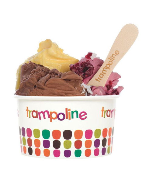 Trampoline Gelato - Doncaster - Sunshine Coast Tourism 0