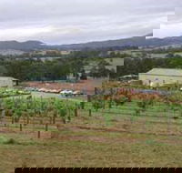 Villa d Esta Vineyard - Sunshine Coast Tourism