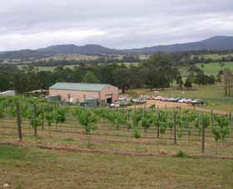 Villa D Esta Vineyard - Holiday Sunshine Coast 0