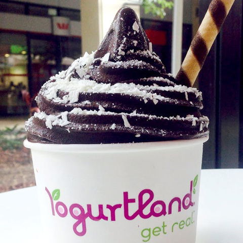 Yogurtland - Prairiewood - Sunshine Coast Tourism 0