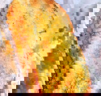 Burnt Toast - Sunshine Coast Tourism