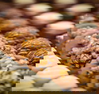 Cafe Stellina - Sunshine Coast Tourism