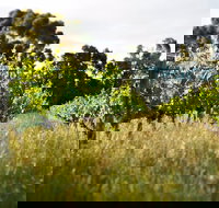 Happs Winery and Pottery - Sunshine Coast Tourism