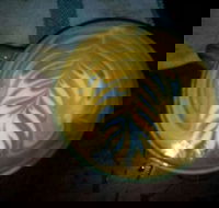 Lambert Vineyards - Sunshine Coast Tourism