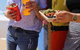 Mad Mex Narellan - thumb 2