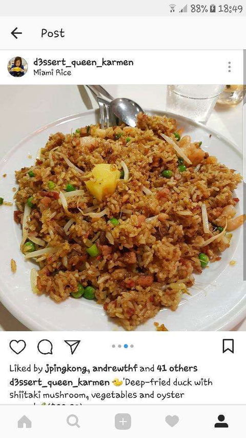 Miami Rice - Sunshine Coast Tourism 0