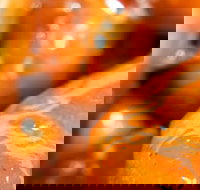 Morish Nuts - Sunshine Coast Tourism