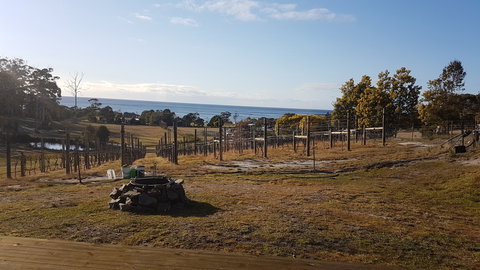 Overtime Vineyard - Holiday Sunshine Coast 0