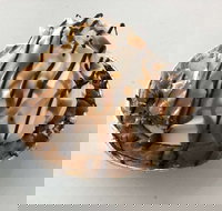 Oven Door Bakery Cafe Drover - Sunshine Coast Tourism