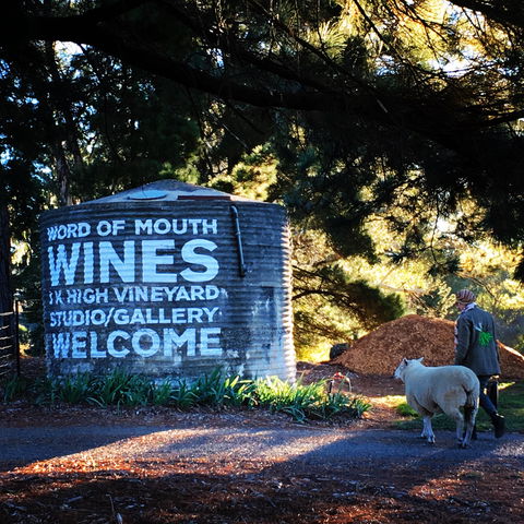 Word Of Mouth Wines - Holiday Sunshine Coast 1