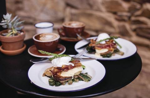 Alby & Esther's - Holiday Sunshine Coast 0