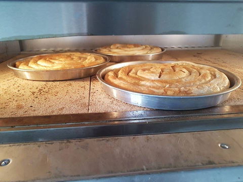 Burekman - Holiday Sunshine Coast 0