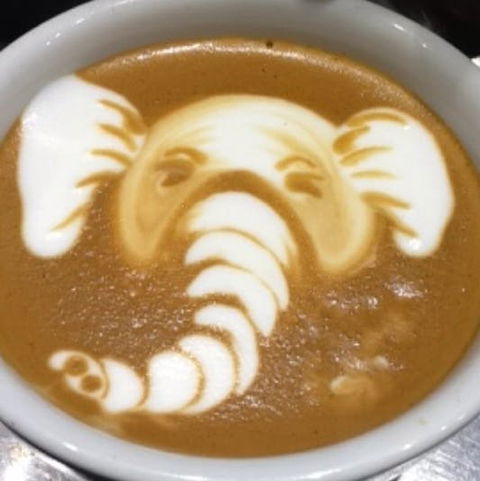 Cafenatics - Docklands - Holiday Sunshine Coast 0