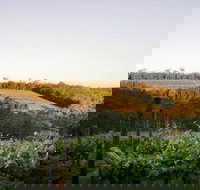 Darlington Estate Winery and Restaurant - Sunshine Coast Tourism