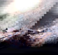 Flame Brothers Restaurant  Bar - Sunshine Coast Tourism