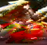 Gardners Inn Bistro - Holiday Sunshine Coast