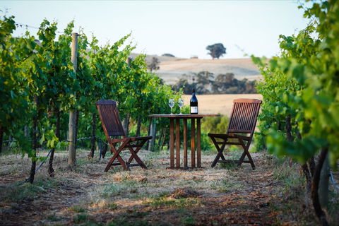 Indigo Vineyard - Sunshine Coast Tourism 1